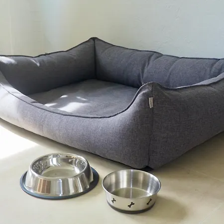 Gemuetliche Mit Balkon, Verkehrsguenstig Gelegen Dortmund